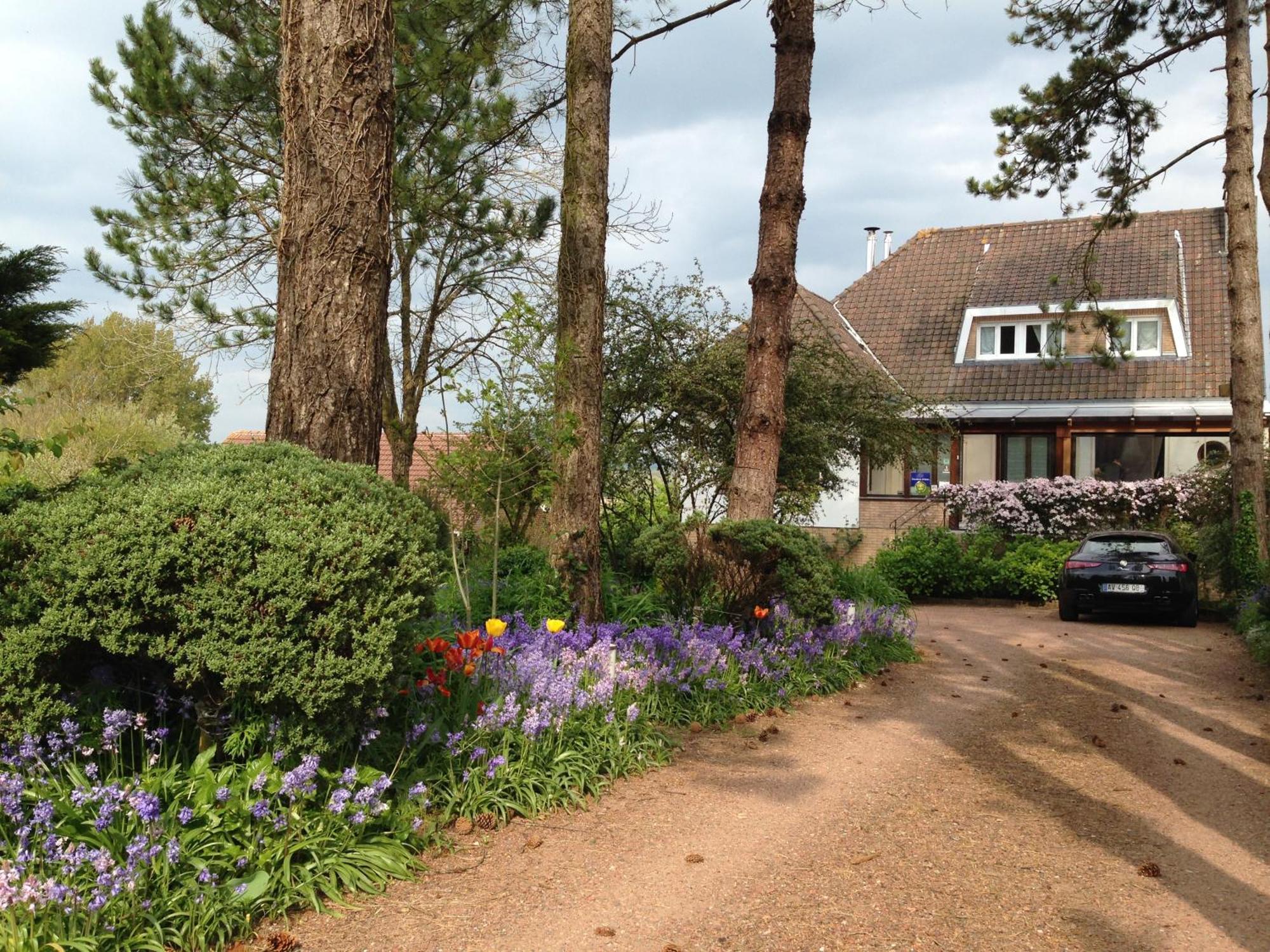 Greenfield Chambres D'Hotes Neufchâtel-Hardelot Exterior foto